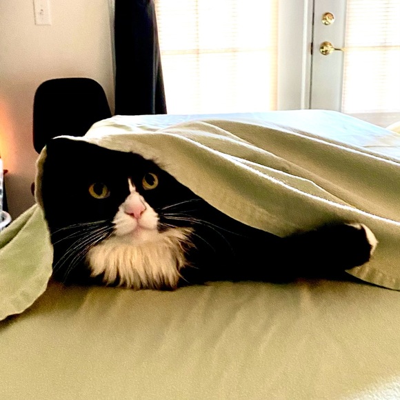 Meet your Posher, Ann - Picture 2 of 7